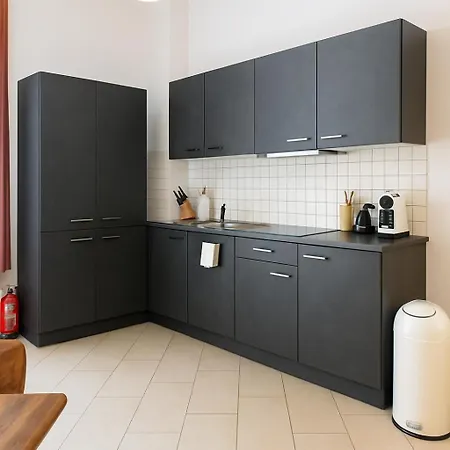 Denkmalgeschuetzte Grosse Boheme Altbauwohnung In Citylage * Ландсхут